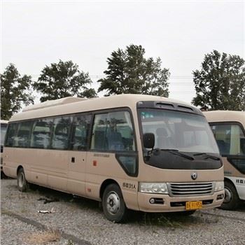 Land Ark New Energy Car נוסעים Pure Electric