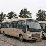 Land Ark New Energy Car נוסעים Pure Electric